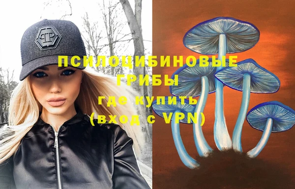 мет Кодинск