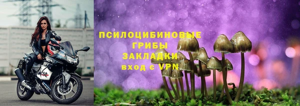 крисы Киренск