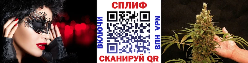Бошки Шишки семена  где найти   Ува 